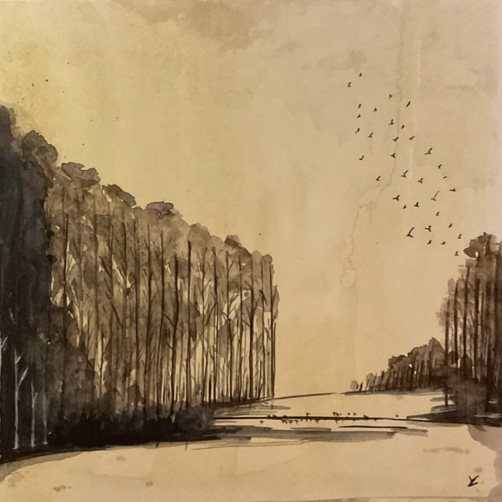 Capture d’écran 2026-02-02 à 15.32.10